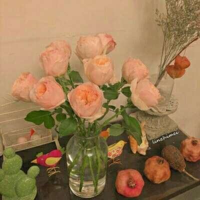 b体育官方下载入口手机版