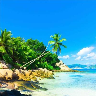 bob半岛在线登录