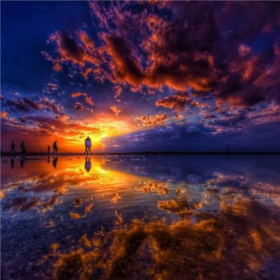 bob半岛在线登录截图